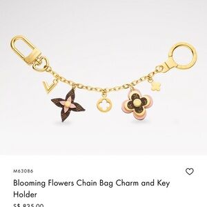 Louis Vuitton 
Charm